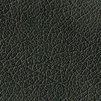 Buffalo Leather colour green