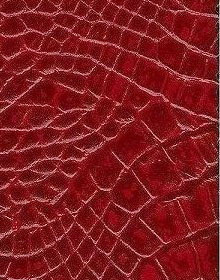 Crocodile Leather colour Red