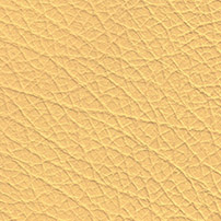 Buffalo Leather colour yellow