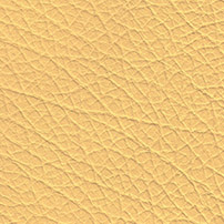 Buffalo Leather colour yellow