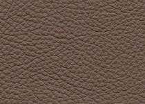 Italian Leather colour 3016 Mud