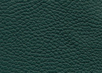 Italian Leather colour 3021 Forest