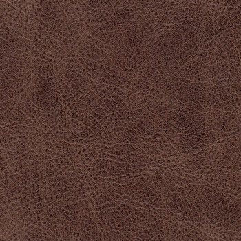 Vintage Leather colour 7005 Dark Brown